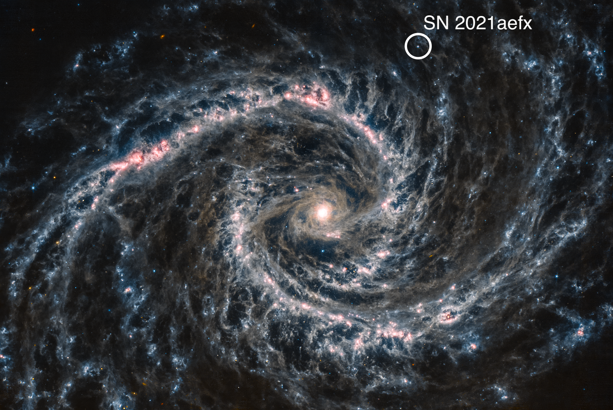 A James Webb Space Telescope image of SN2021aefx and its host galaxy, processed by Judy Schmidt
